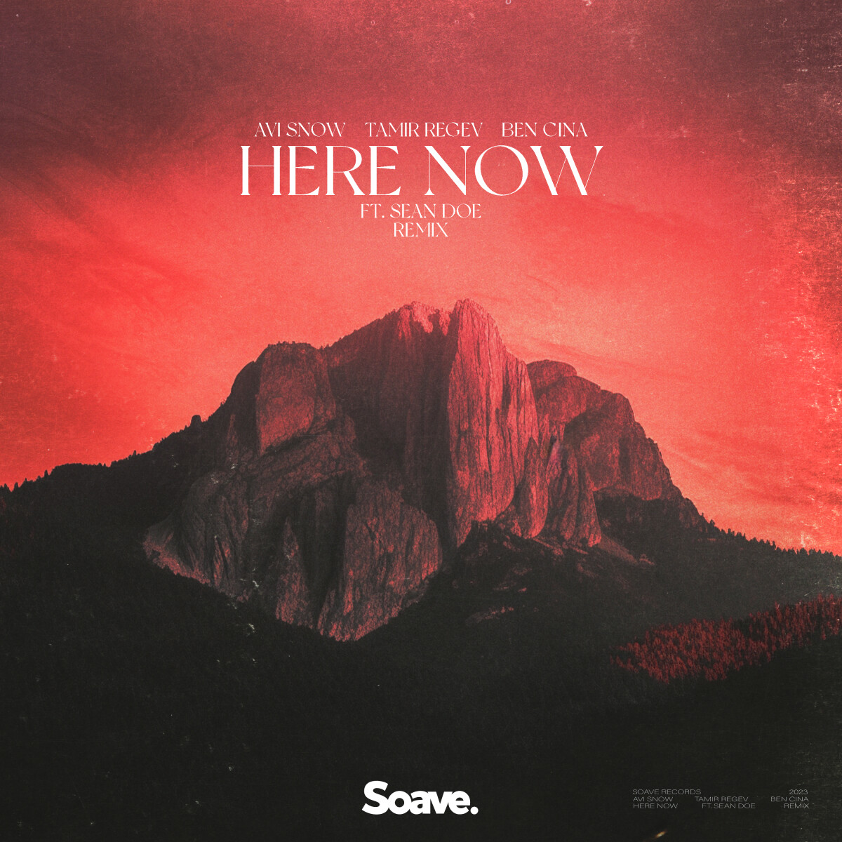 Here Now (feat. Sean Doe) [Remix]