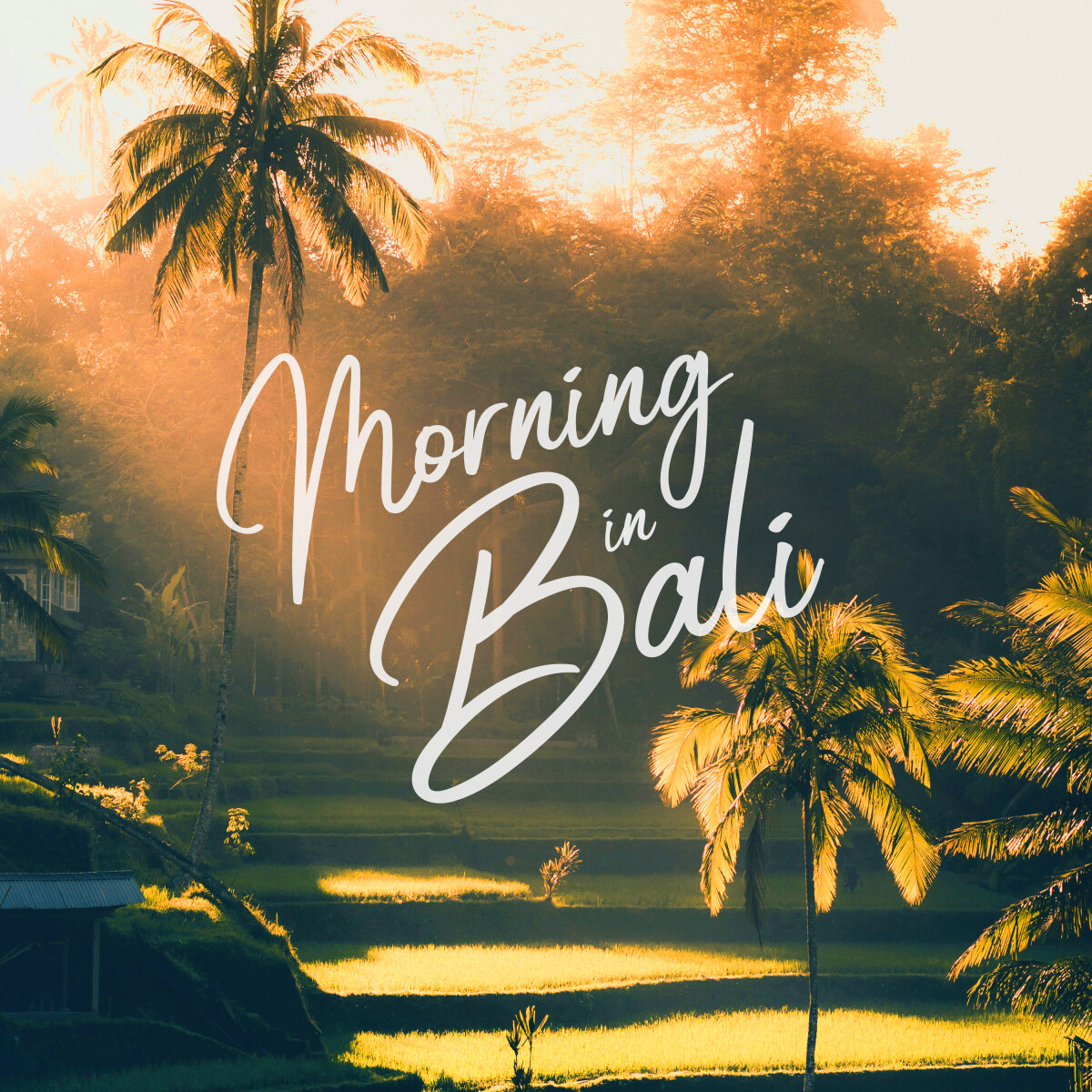 Morning in Bali