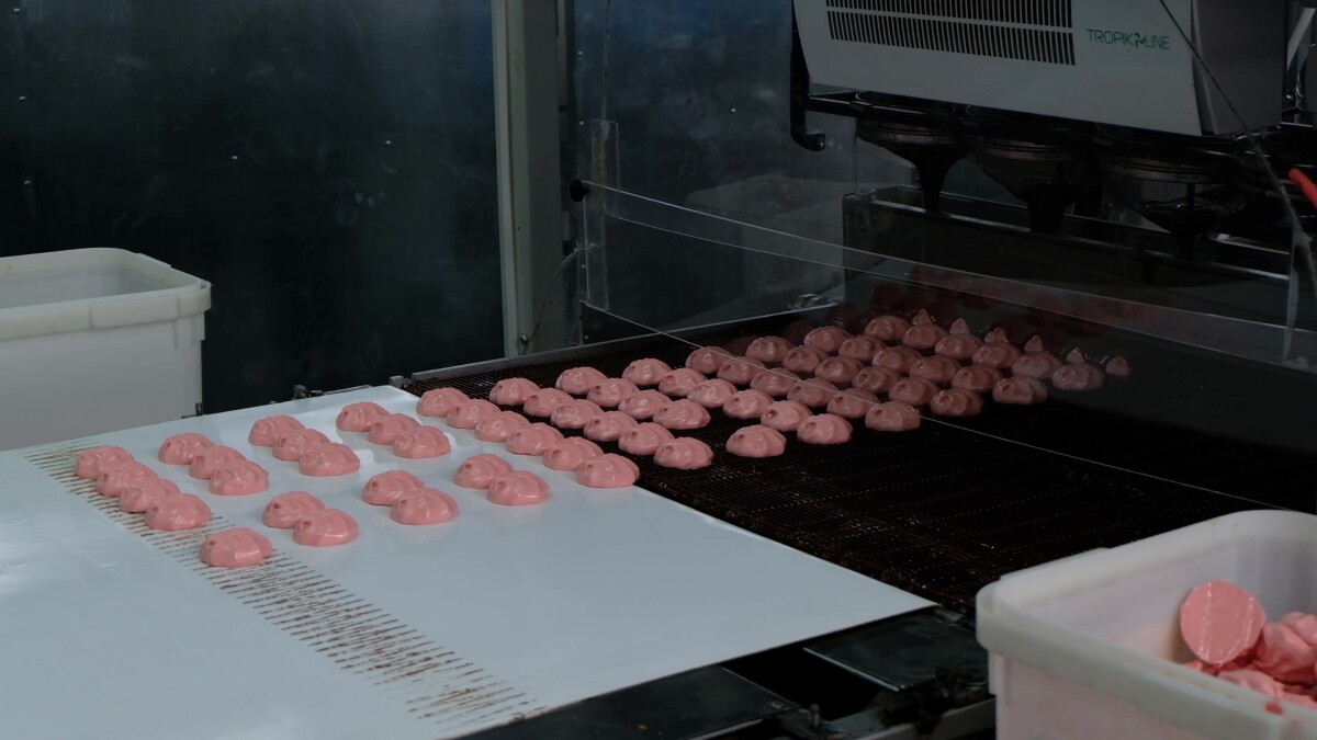 Process of chocolate glazing marshmallows in confectionery on conveyor machine