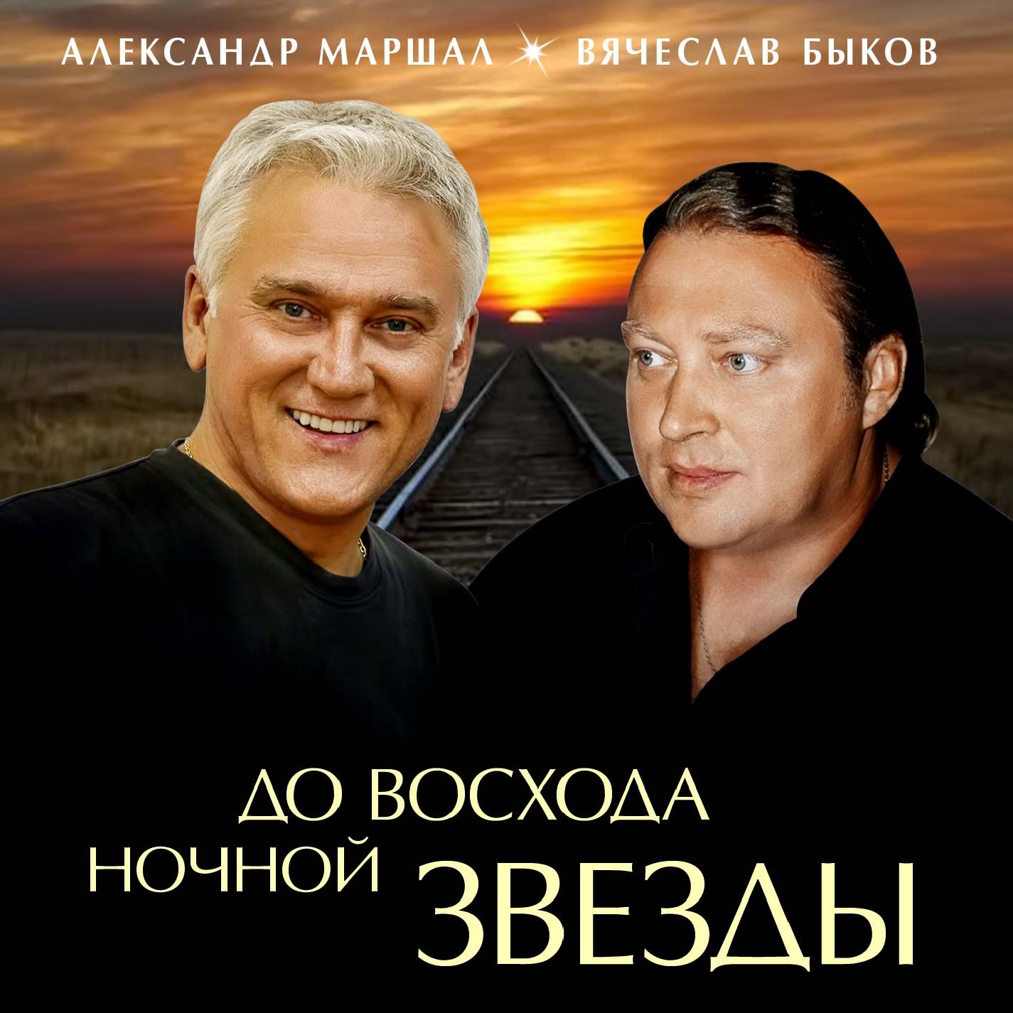 Новый год. Быков Вячеслав & Маршал Александр