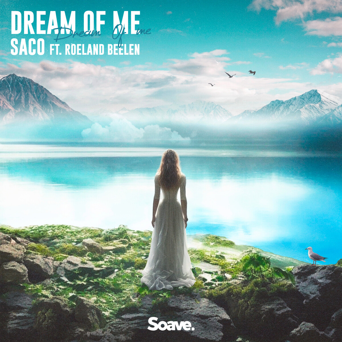 Dream of Me (feat. Roeland Beelen)