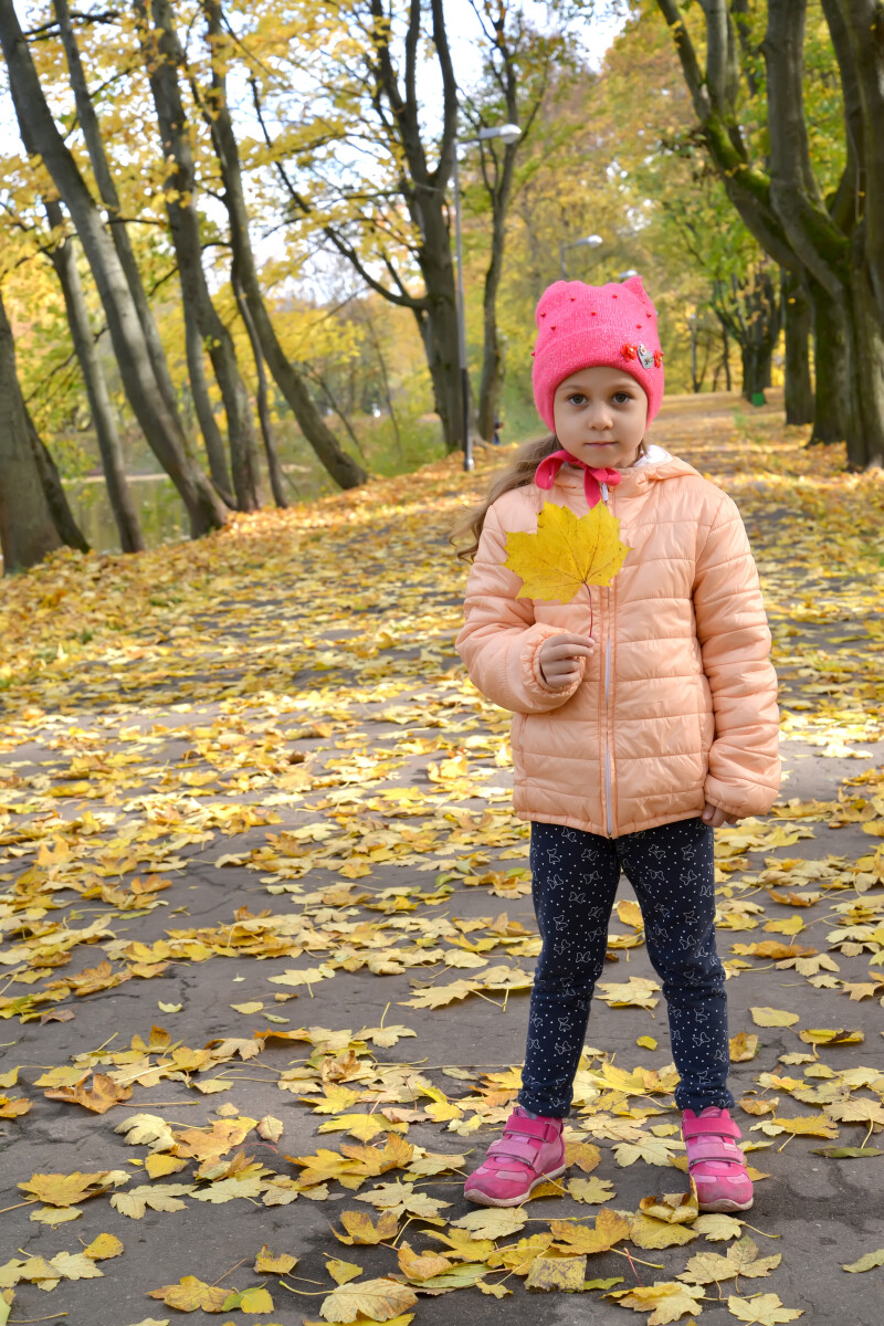 Маленькая девочка стоит на осенней парковой аллее с кленовым листом в руке