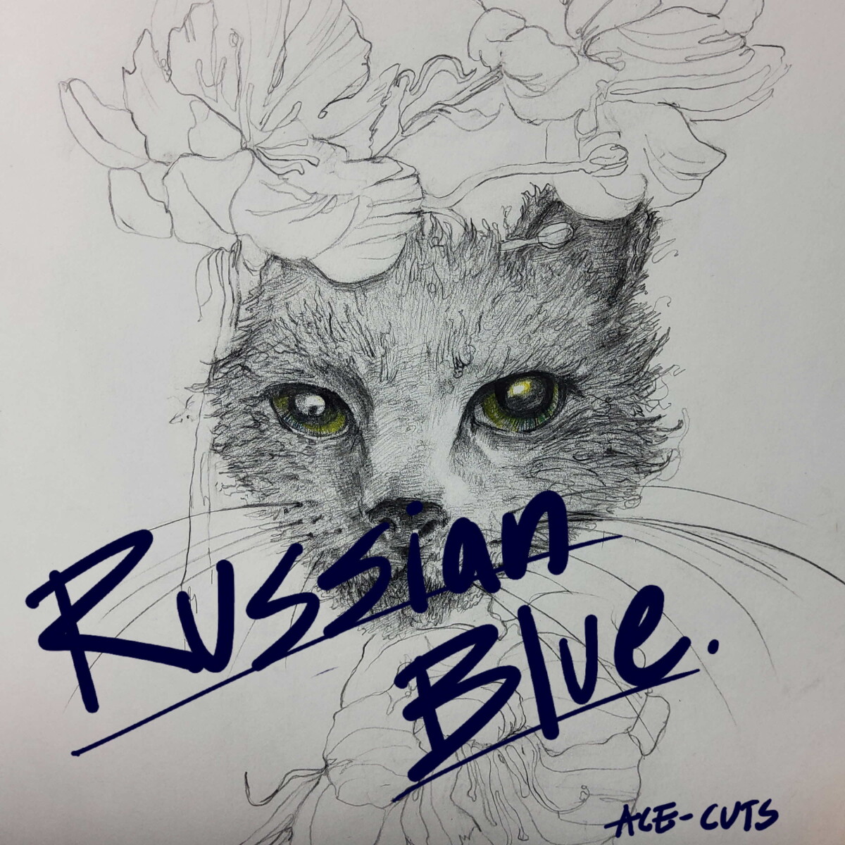 Russian Blue