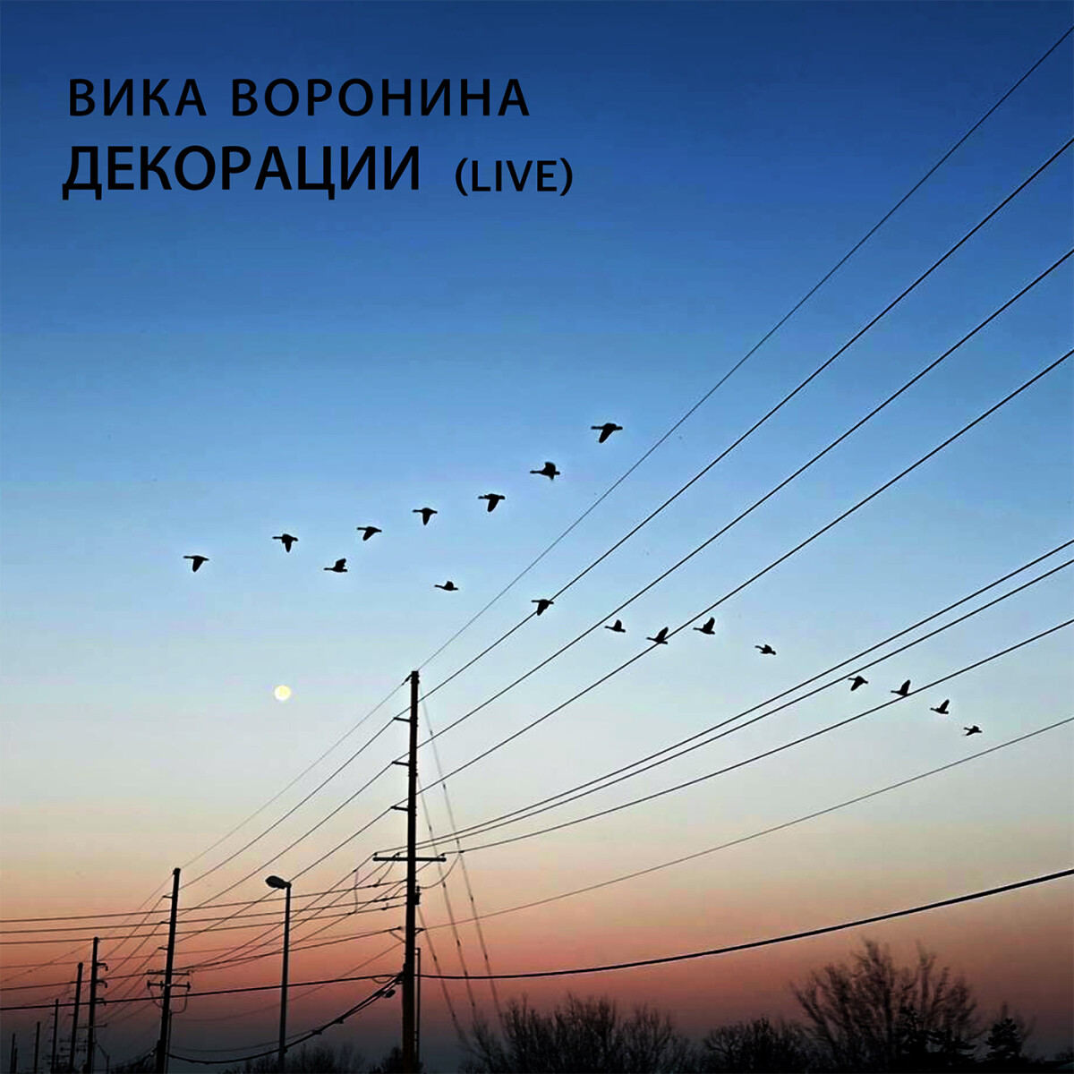 Декорации (Live)