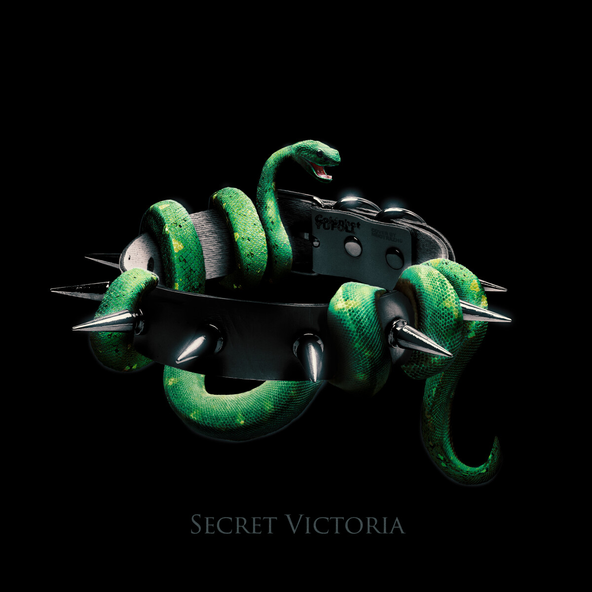 Secret Victoria