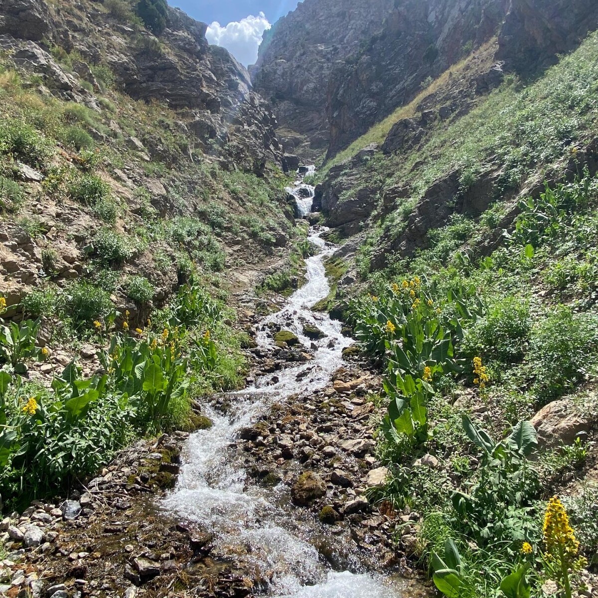 Водопад ущелья Донызтау