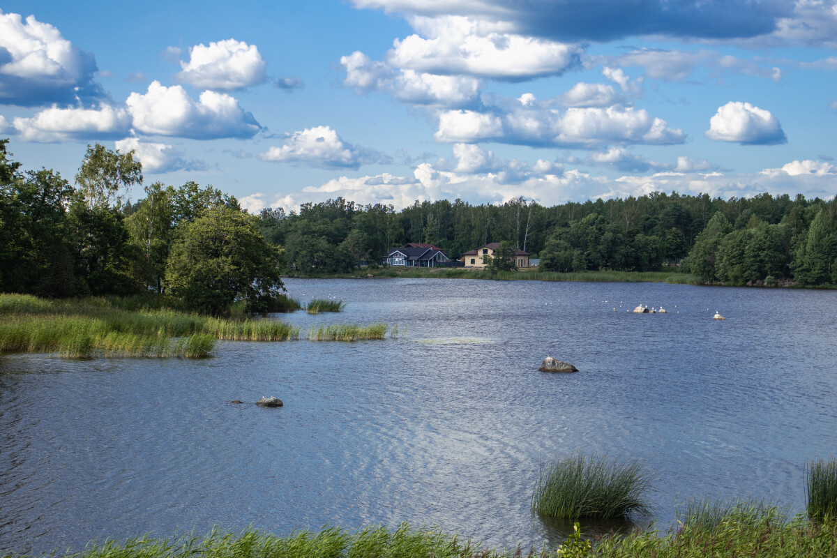 Деревня, пейзаж, река