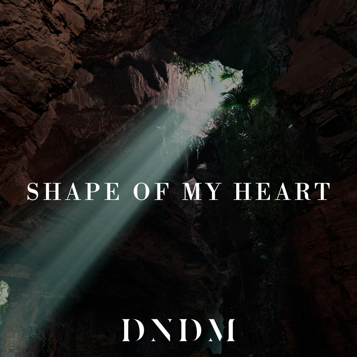 Shape of My Heart