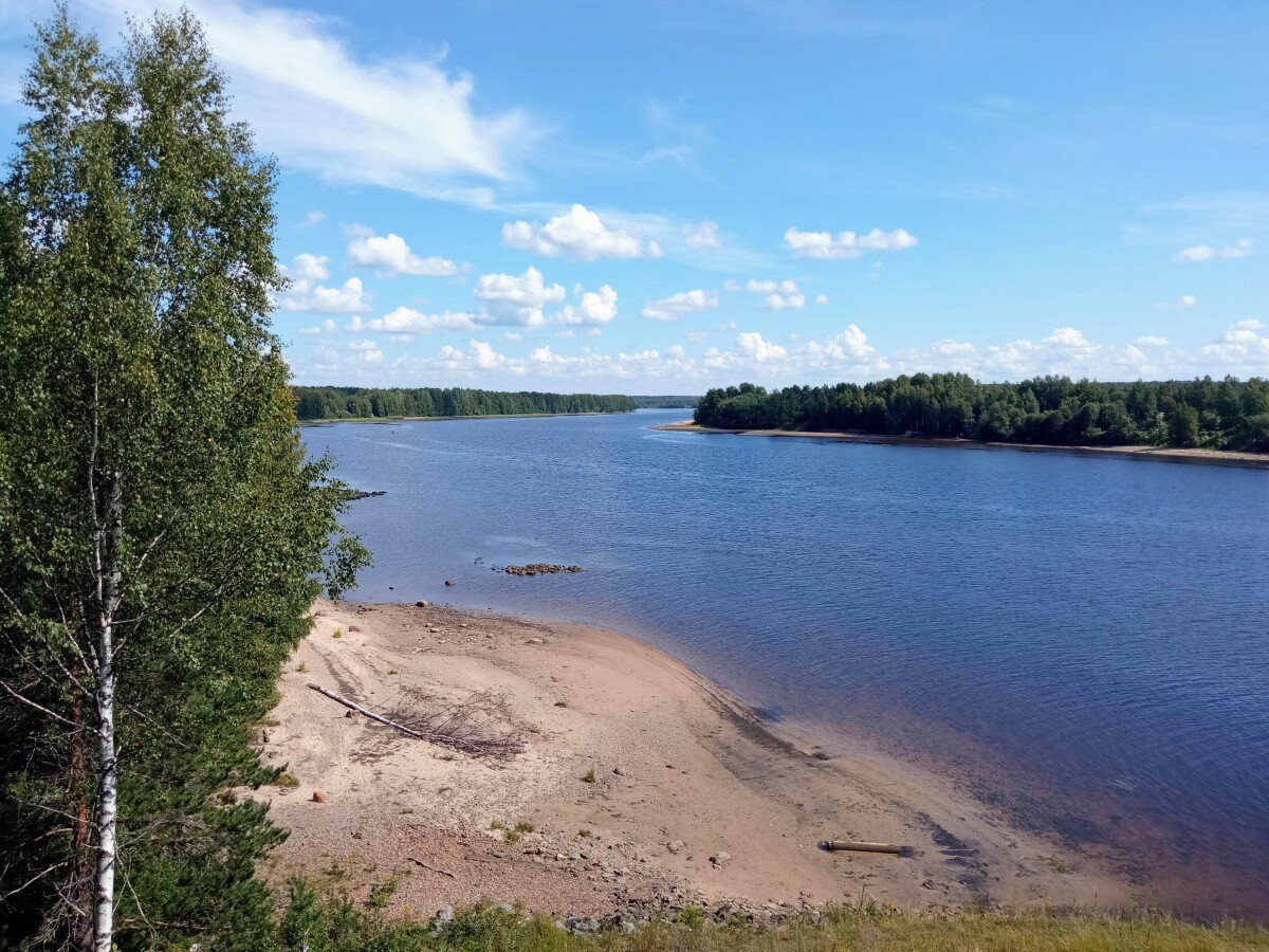 Река Свирь в солнечный летний день