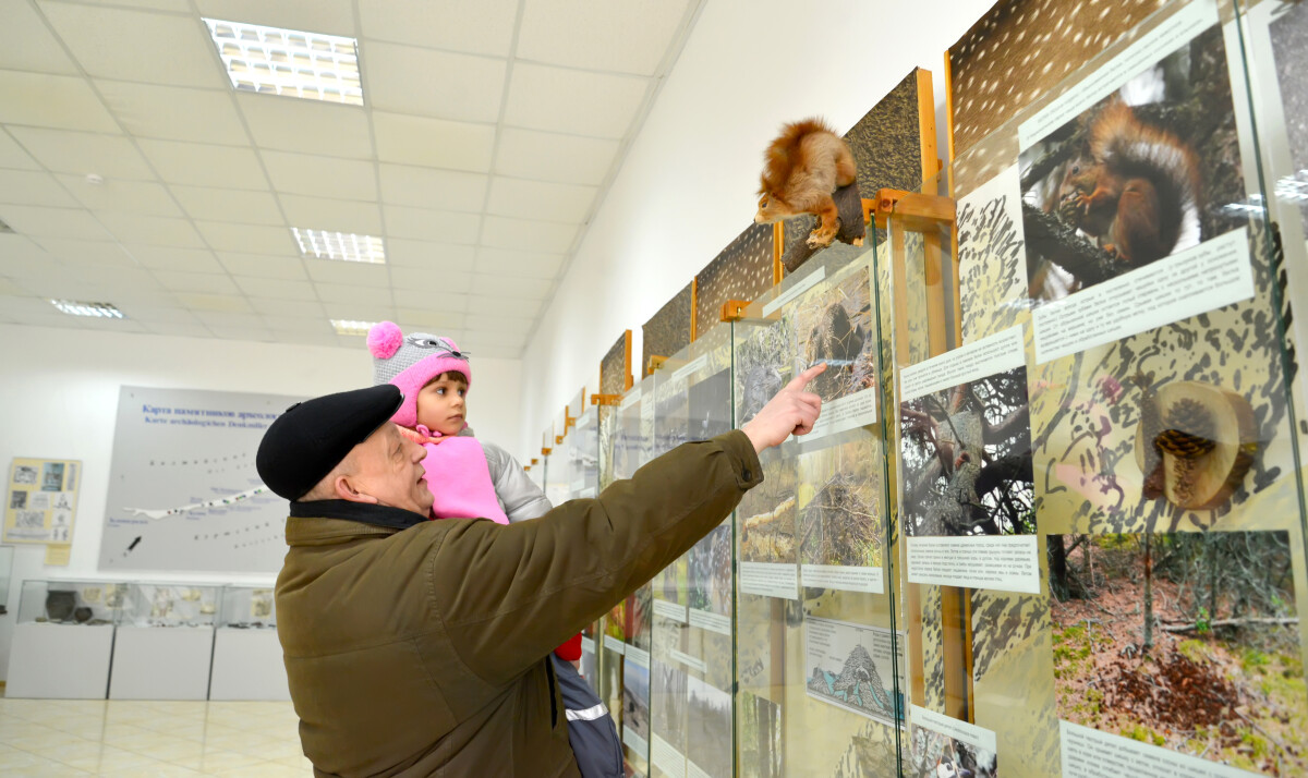 КАЛИНИНГРАДСКАЯ ОБЛАСТЬ, РОССИЯ - 15 февраля 2015 г.: Пожилой мужчина показывает своей внучке фотографии животных в зале природы. Визит-центр "Музейный комплекс национального парка "Куршская коса"".