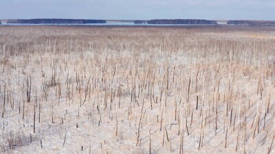 Западная Сибирь, Омская область. Болото и зимний лес. Вид с воздуха.