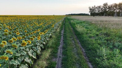 Съёмка была сделана в Каменском районе Алтайского края