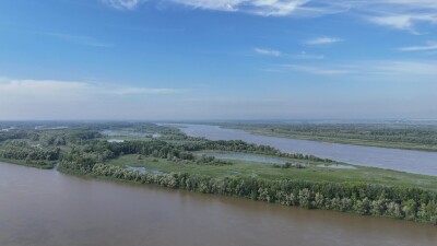 Беглый панорамный вид сверху на разлив реки обь. Месяц - июль. Время суток - утро