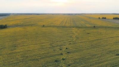 Съёмка была сделана в Каменском районе Алтайского края