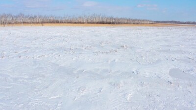 Западная Сибирь, Омская область. Болото и зимний лес. Вид с воздуха.