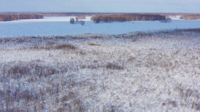 Западная Сибирь, Омская область. Болото и зимний лес. Вид с воздуха.