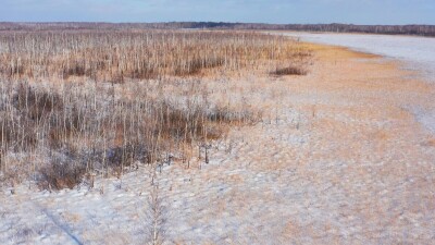 Западная Сибирь, Омская область. Болото и зимний лес. Вид с воздуха.