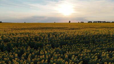 Съёмка была сделана в Каменском районе Алтайского края