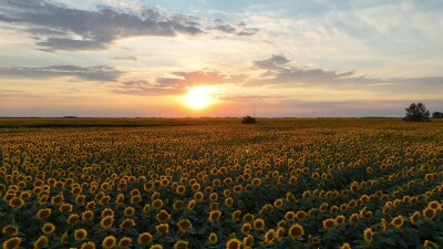 Съёмка была сделана в Каменском районе Алтайского края