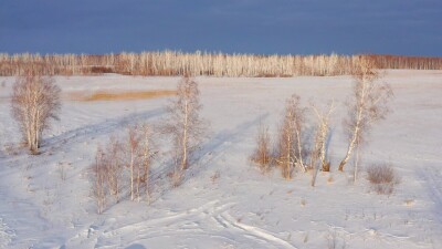 Западная Сибирь, Омская область. Болото и зимний лес. Вид с воздуха.