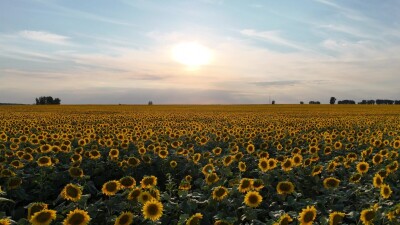 Съёмка была сделана в Каменском районе Алтайского края