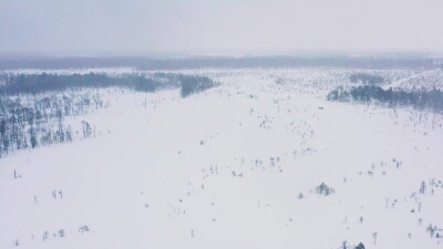 Западная Сибирь, оленевод ханты едет на оленьей упряжке в снегопад. Вид с воздуха.