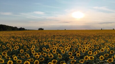 Съёмка была сделана в Каменском районе Алтайского края