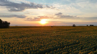 Съёмка была сделана в Каменском районе Алтайского края