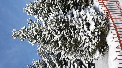 В некоторых городах Приморского Края снежные зимы - большая редкость. И для большинства горожан большая честь заснять на видео эту красоту.