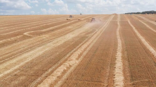 Поволжье, страда. Тракторы собирают сено с поля после уборки пшеницы. Вид с воздуха.