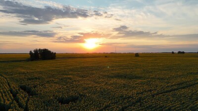 Съёмка была сделана в Каменском районе Алтайского края