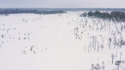 Западная Сибирь, оленевод ханты едет на оленьей упряжке в снегопад. Вид с воздуха.