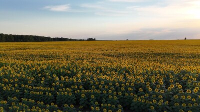 Съёмка была сделана в Каменском районе Алтайского края