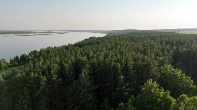 Запись велась с дрона на высоте птичьего полёта июльским вечером. Полёт прямолинейный горизонтальный, в конце видео угол обзора объектива плавно опускается вниз, и камера запечатляет верхушки деревьев в движении.