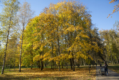 Россия, Москва, Северное Медведково, Парк «Яуза» осенью