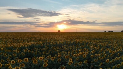 Съёмка была сделана в Каменском районе Алтайского края